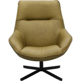 IL Gaudi Kiwi fauteuil=0I7A1508